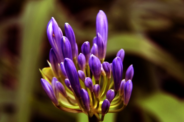 国米肠子悔青了吧？米兰700万投资蜡笔，收益直指联赛冠军