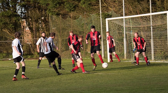 要双方的包 要双方的包