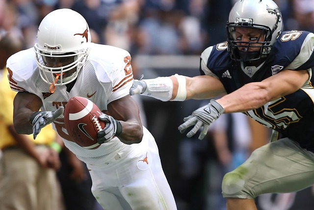 借亚冬会契 借亚冬会契