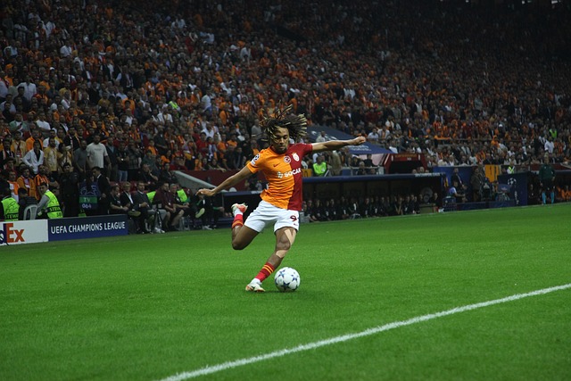 许多体育爱 许多体育爱