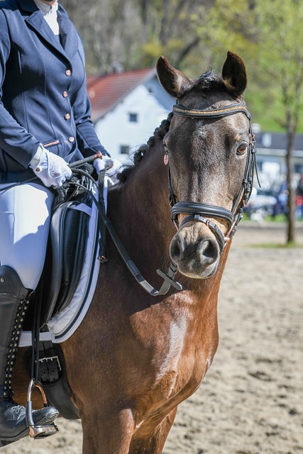 维拉已经在 维拉已经在